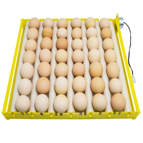 EHJRE 42/56 Eggs Incubator, 12V Fully Automatic Egg Incubator Temperature Control, Hatcher Machine for Hatching Turkey Goose Birds Quail Chicken Eggs - 42Eggs 7Rods 44x44x6cm