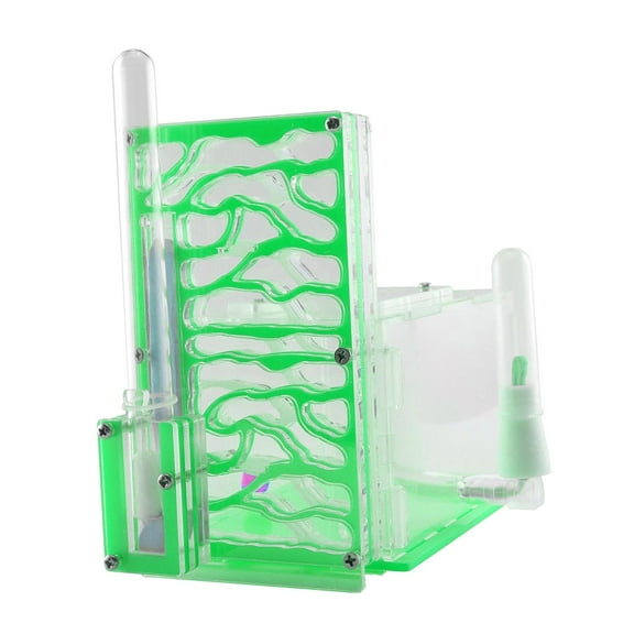 EHJRE ANT Housing Nest Clear Display Box ANT Farm for Bedroom Living Room Tabletop Green