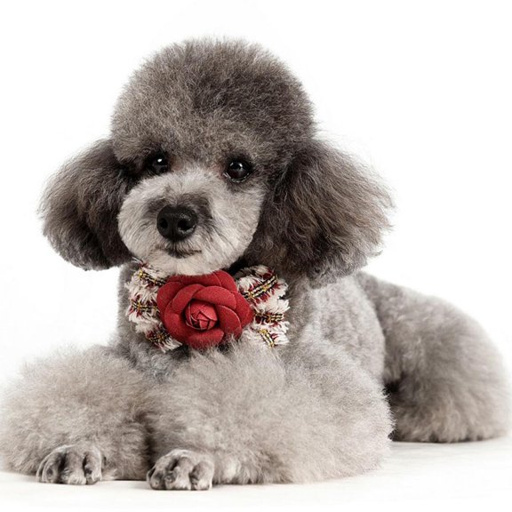 EHJRE Adjustable Pleuche Flower s for Middle Dogs, Pet Kitten Cozy Bowtie , Red M