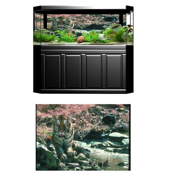 EHJRE Aquarium Background Backdrop Poster Fish Vivarium Landscape Multicolor , XL