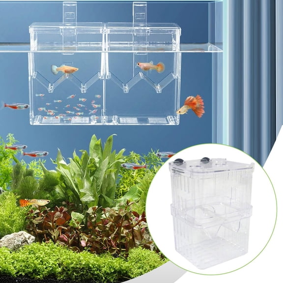 EHJRE Aquarium Fish Breeder Box Hatchery Incubator Isolation Box Separation Suction Cups Transparent pp Material Easy Installation Suitable for Betta Guppy Ornamental Fish Aquarium