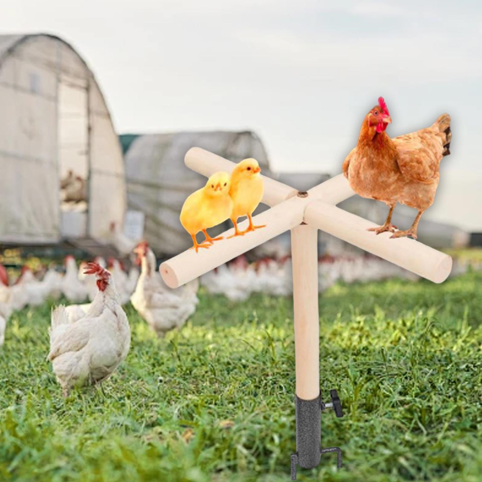EHJRE Chicken Perch Toy for Coop Wooden Chick Perch Stand for Bird ...