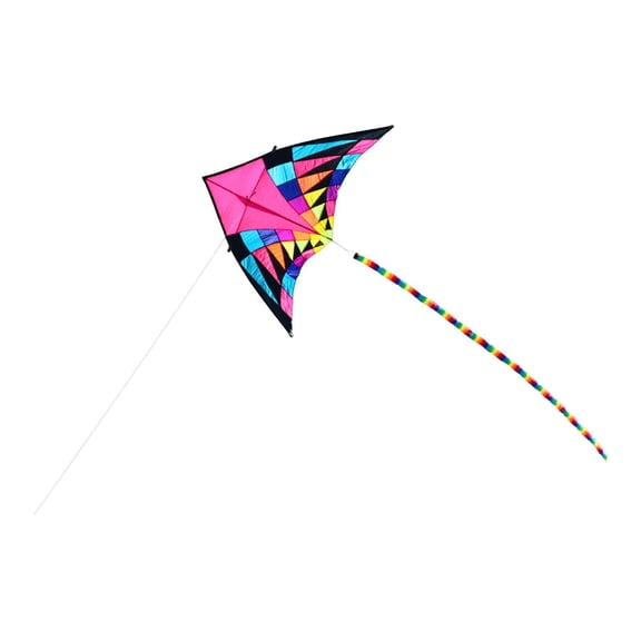 EHJRE Delta Kite,Easy to Fly Professional Sturdy for Beginners Creative with Long Tail 160cm