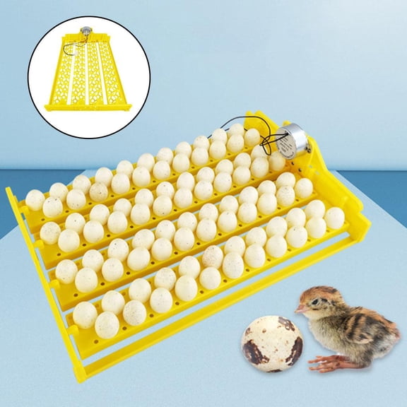 EHJRE Eggs Incubator 12 V Hatcher Automatic Turner Tray 88 Eggs Poultry Plastic Brooder with Motor Birds Quail Farm - DC 12V