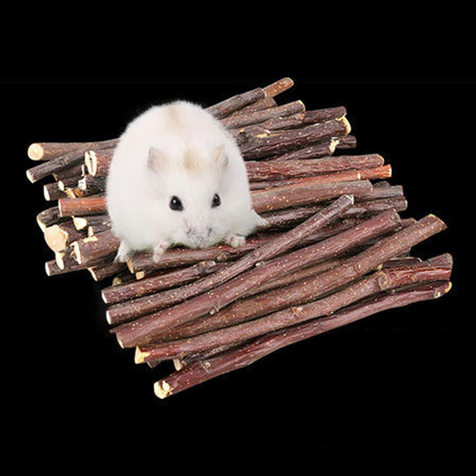 EHJRE Natural Hamster Chew Sticks, Molar Twigs, Accessories, Bunny Branches Rat Toys, Wood for Rodent Animals Groundhog Squirrels Treats