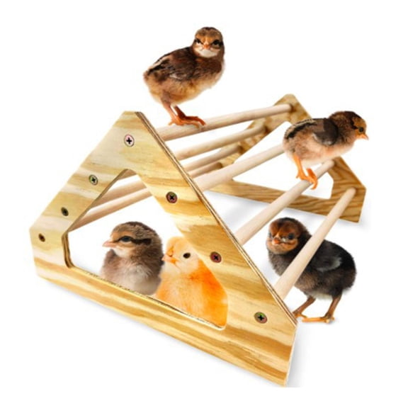 EHJRE Parrot Stand Bird Grinding Perch Table Platform Stands Portable Table Playstand for Small Cockatiels, Conures, Parakeets, Finch , 1 Hole