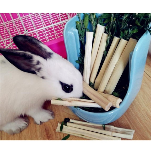 EHJRE Small Pet Sweet Bamboo Chew Toy For For Guinea Pigs Chinchilla Squirrel Rabbits Parrot Hamster