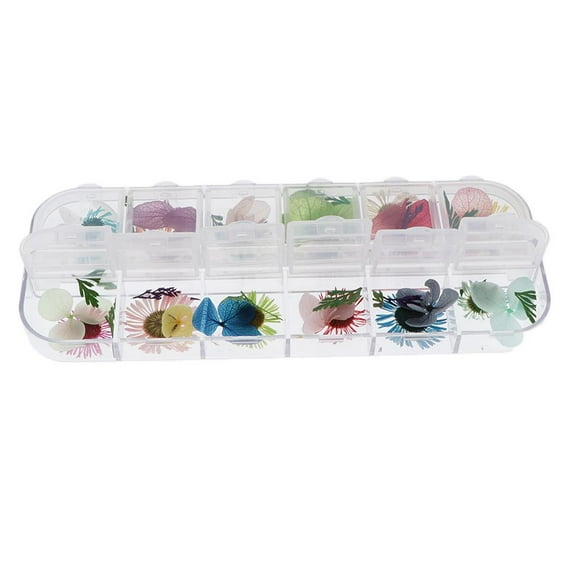 EHJRE natural real dried pressed leaves flowers for art crafts DIY B B