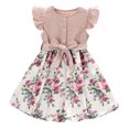 EHQJNJ Blue Dress for Girls Sweet Girl's Spring and Summer Style Lace ...