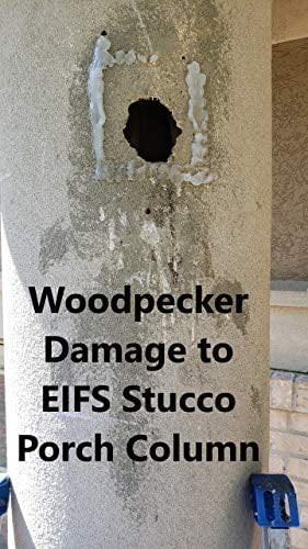 EIFS Stucco Woodpecker Damage Repair Kit - Walmart.com