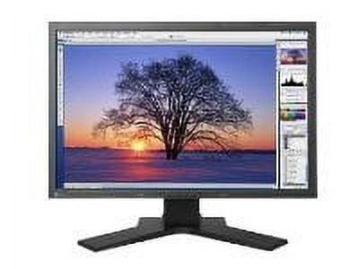 EIZO ColorEdge CG222W - LCD monitor - 22