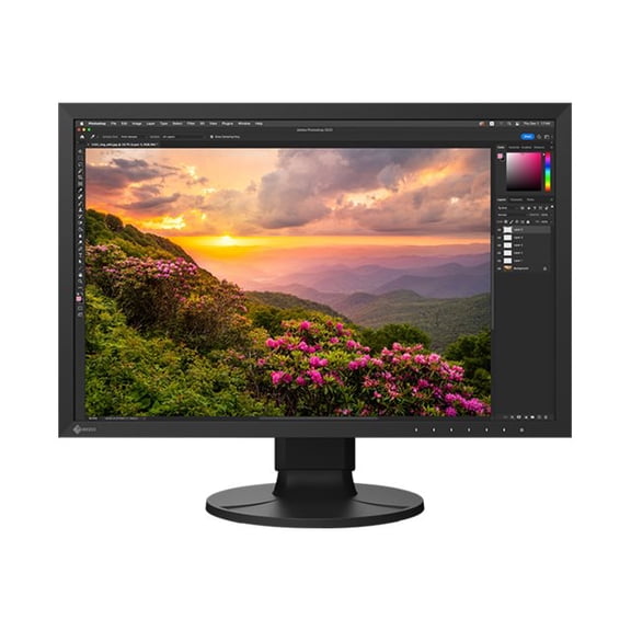 Eizo CS2400S-BK 24in Wide Screen Wide Color Mntr Gamut Tft Ips Lcd Led Backlight