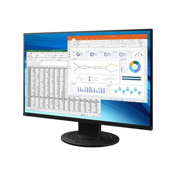 Eizo EV2410RBK FlexScan 24.1" WUXGA LCD Monitor - Black