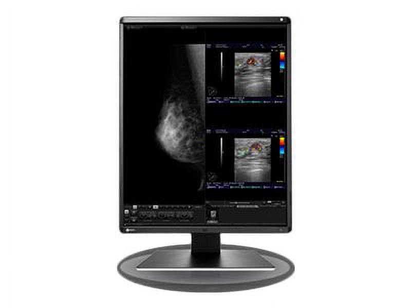 EIZO RadiForce RX560-BK - LED monitor - 5MP - color - 21.3