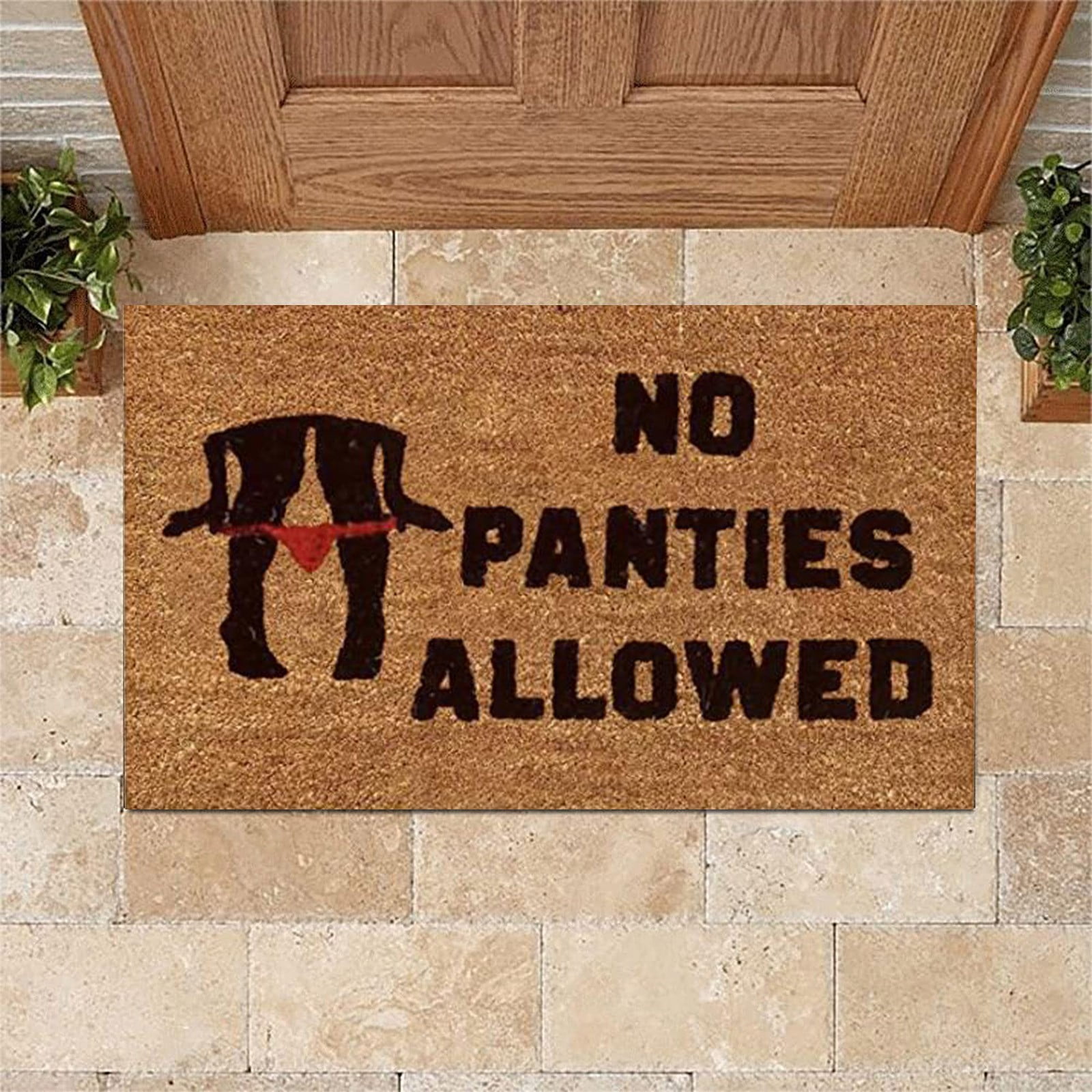 Hello Door Mat Outdoor Entry Rug, Waterproof Door Mat for Inside Entryway  Decor, Funny Welcome Mat Outdoor with Cute Text and Pattern for Home Decor  or Dog Mat for Muddy Paws, 30x17Indoor