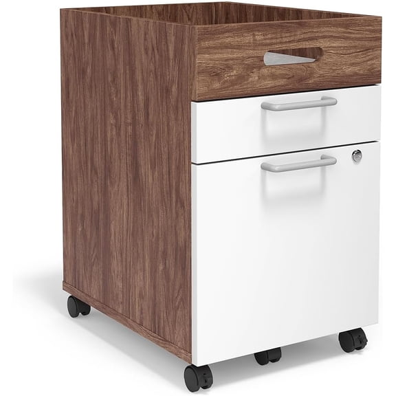 EKACO 2 Drawer Mobile File Cabinet, Rolling Printer Stand, Vertical Filing Cabinet, Office Drawers, Filing Cart for Home Office, A4/Letter Size, Black and Rustic Brown BFK20WJ01