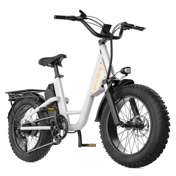 EKXBIKE Ebike for Adults, 1000W 15.6Ah 48V 30mph Mountain Bike , 20'' Fat Tire Electric Bicycle UL2849