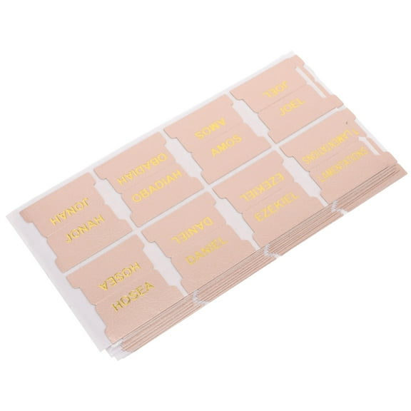 ELAYARD 1 Set Blank Book Font Labels Pink Bible Tabs for Referencing and Giving