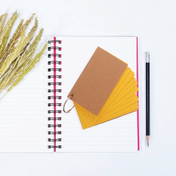 ELAYARD Colored Index Cards 100 Sheets 10 Colors with Holes Paper Cover for Notes