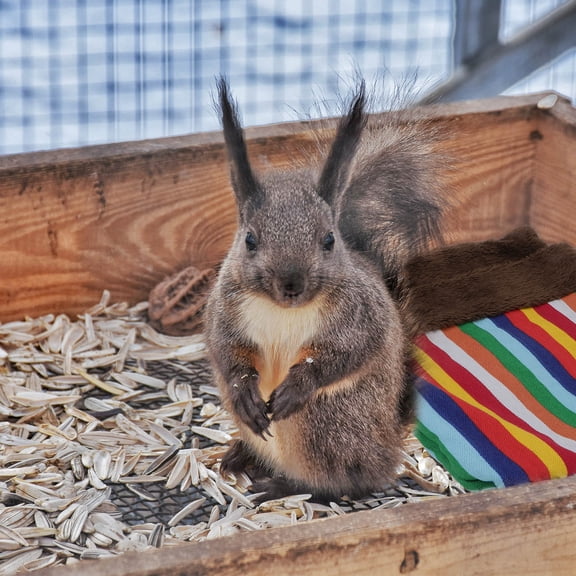 ELAYARD 1Pack Small Animal Sleeping Pouch Multi-colored Polyester for Indoor Use