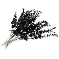 thumbnail image 1 of ELAYARD 20Pcs Simulation Eucalyptus Stems Black Faux Plant Ornaments for Elegant Vase Decoration, 1 of 5