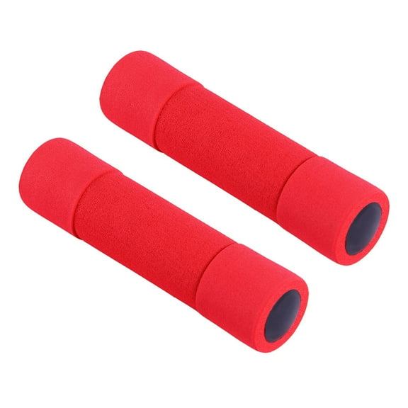 ELAYARD Set of 2 Small Iron Dumbbells for Women's Training and Fitness Workouts