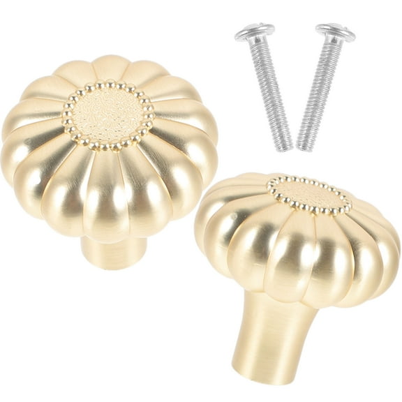 ELAYARD 2Pcs Golden Metal Cabinet Knobs Small Dresser Drawer Pulls Easy Installation
