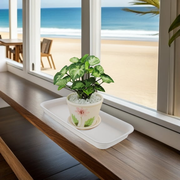 ELAYARD 3pcs Plastic Tray for Plants Indoor Gardening Mess Prevention