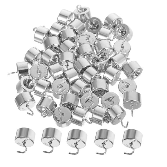 ELAYARD 50Pcs Lab Weight Set Chromium Plated Iron for Researchers and Teachers Silver Weights