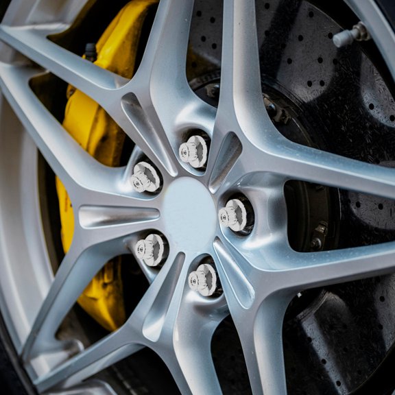 ELAYARD 5-Pack Round Plastic Lug Nuts Decorative Caps for Car Wheels, and Stylish for Everyday Use