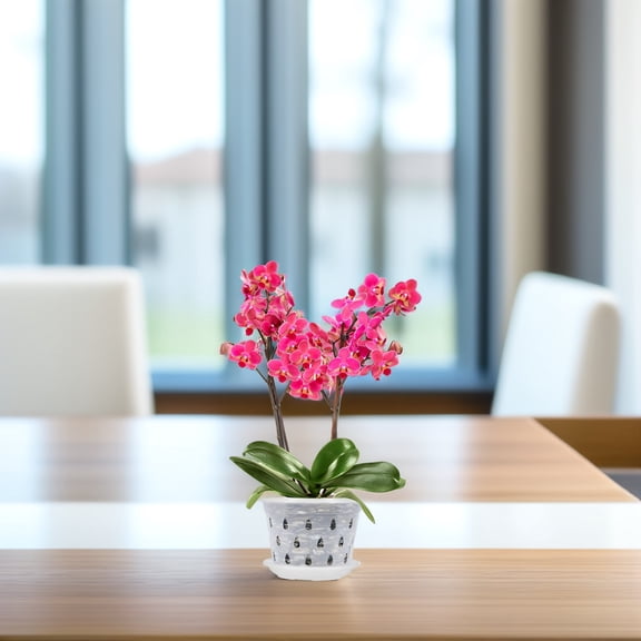 ELAYARD 5Sets Clear Plastic Planter Saucers with Drainage Holes for Garden Plants Orchids