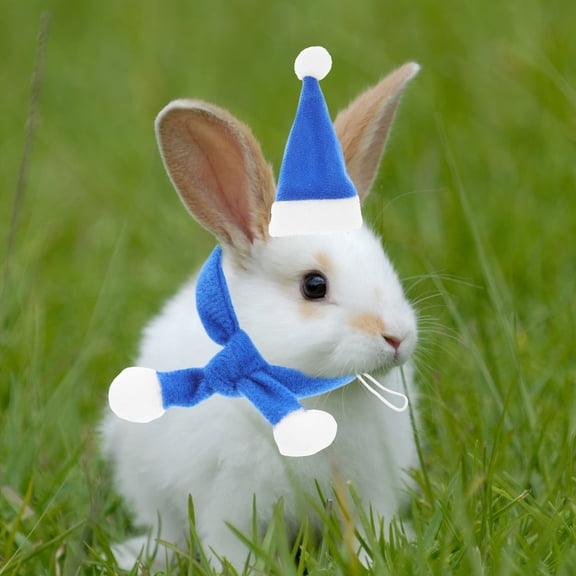 ELAYARD 6Pcs Cute Style Pet Costume Hat Blue Lightweight with Adjustable Elastic Band for Holidays Decor