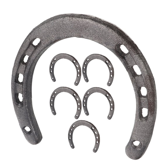 ELAYARD 6Pcs Grey Decorative Cast Iron Horseshoe Wall Sculpture for Interior Decoration