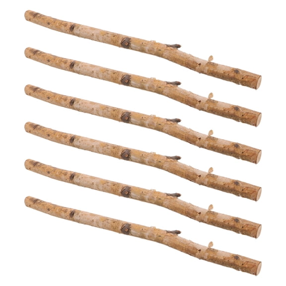ELAYARD 6Pcs Lightweight Dried Wood Branch Sticks for Vase Insert and Decoration
