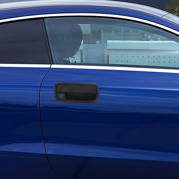 ELAYARD Black Car Grab Grip Interior Handles Door Handle Made of ABS Stainless Steel for Various Models