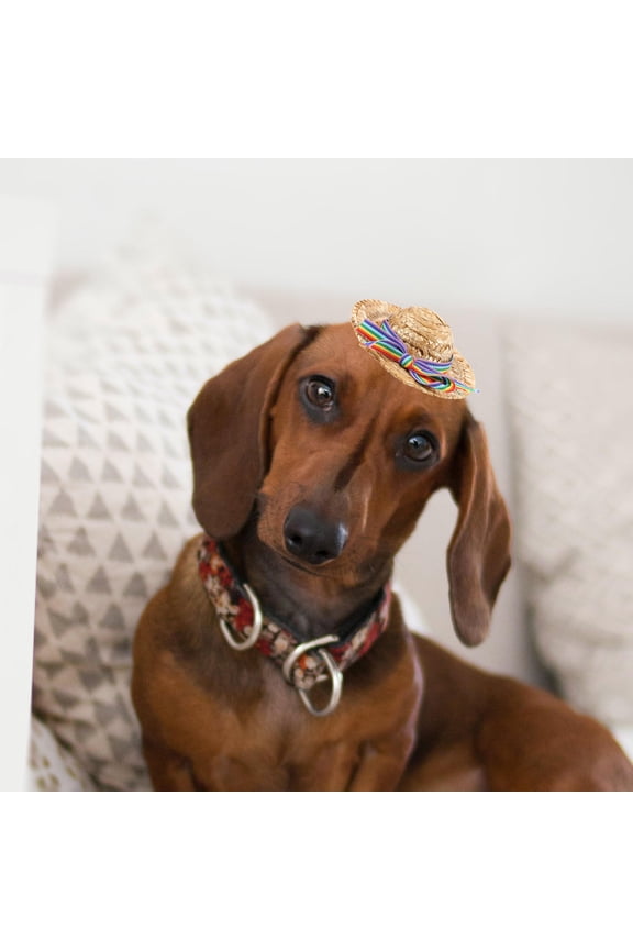 Decorative Pet Straw Hat Woven Dog Cap for Party Favor Cosplay and Photo Prop