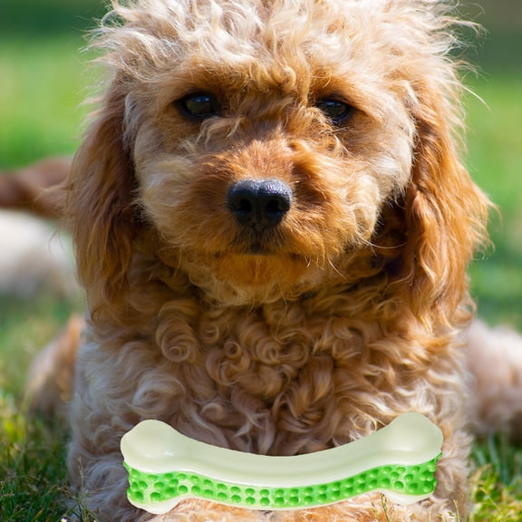 ELAYARD Dog Bone Toy Nylon Green for Puppies Indoor Use 1Pack