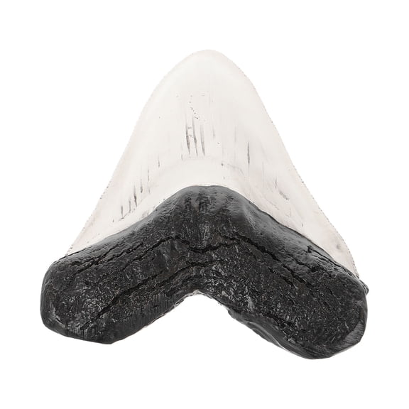 ELAYARD Fake Tooth Decoration White Resin DIY Table or Bookshelf Ornament 1Pack