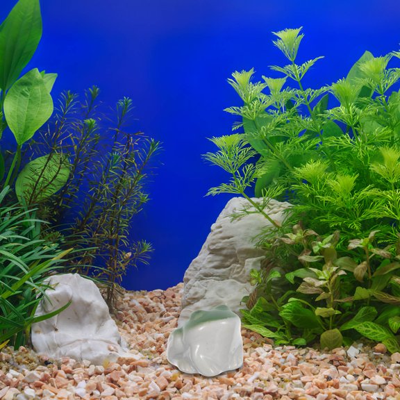 ELAYARD Floating Frog Figurine Fish Tank Ceramic Decor for Garden Pond Display