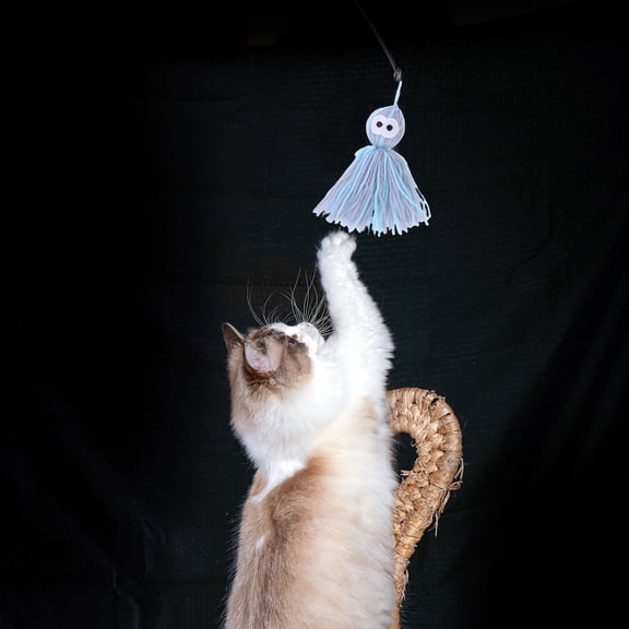 ELAYARD Durable Cat Teaser, Sky-Blue Yarn, Safe and Engaging for All Cats