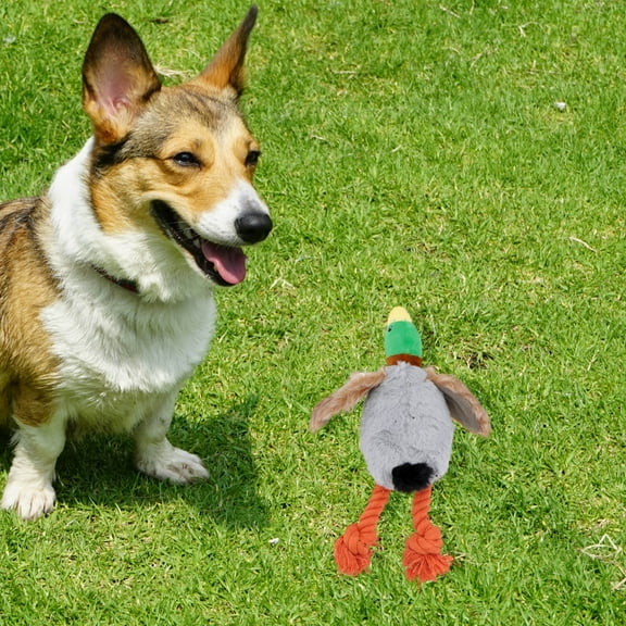 ELAYARD Soft Plush Dog Toy for Pets, Assorted Colors, and Chew Toy, 1 Piece