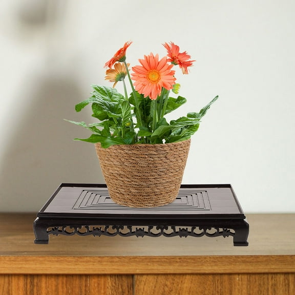 ELAYARD Black Plastic Plant Riser for Indoor Plants Vase Display and Craft Stand