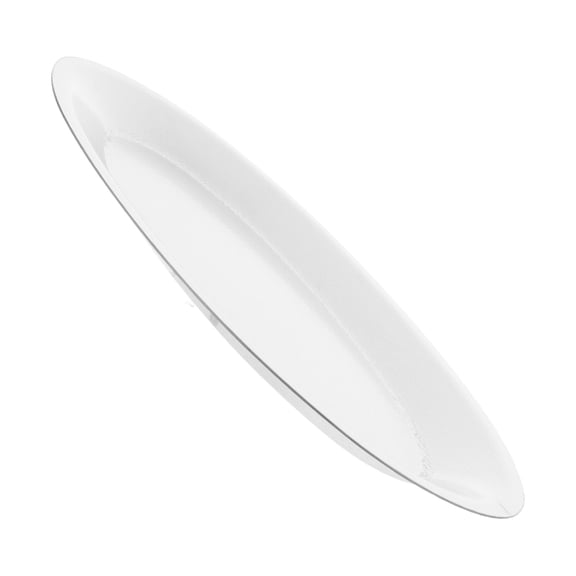 ELAYARD Stainless Steel Oval Serving Plate for Food Storage and Grilling Fish Seafood