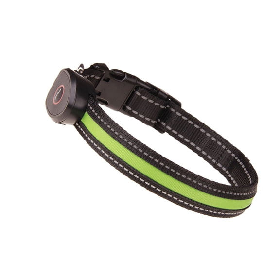 ELAYARD Lighted LED Pet Collar Green USB Rechargeable for Outdoor Evening Use