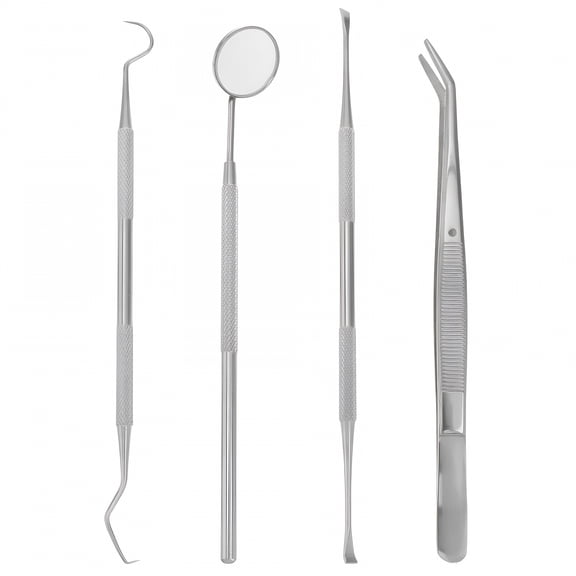 ELDORIX 1 Set of 4pcs Oral Cleaning Tools Stainless Steel Teeth Scaler Probe Oral Care Kit
