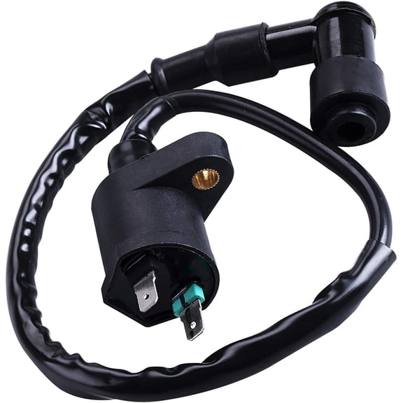 ELECTRIC 2 PIN IGNITION COIL 50 150 125CC MOPED DIRT BIKE SCOOTER CO39