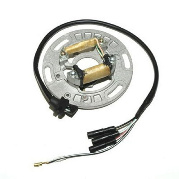 Electrosport Esc1151 Electrosport Stator For Kawasaki Kx125/250