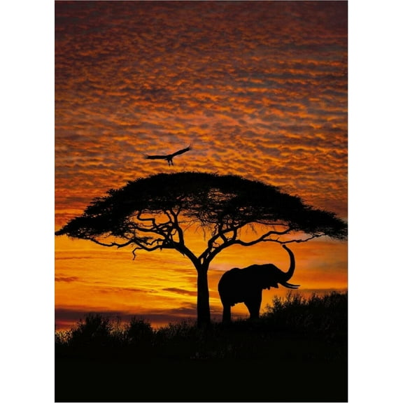 ELEPHANT SUNSET - 24X36 WALL ART POSTER PRINT PAPER 0279