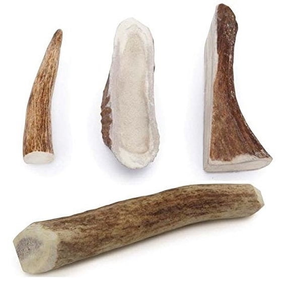ELK ANTLER DOG DENTAL CHEWS Natural Way to Clean Your Dog's Teeth Bulk Too!(Small - 4" to 5 " 2 Antlers)