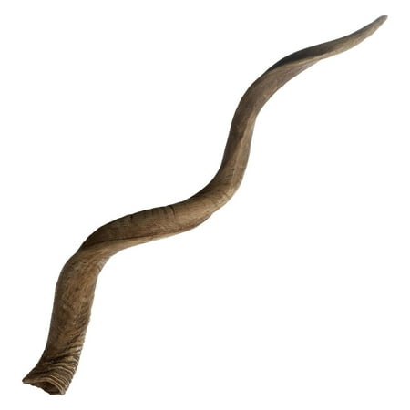 ELK Lighting Blonde Curved Kudu Horn